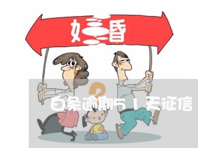 白条逾期51天征信 白条逾期51天征信