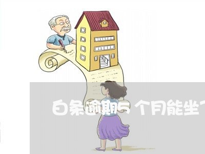 白条逾期5个月能坐飞机吗 白条逾期5个月能坐飞机吗