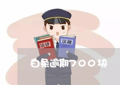 白条逾期700块 白条逾期700块