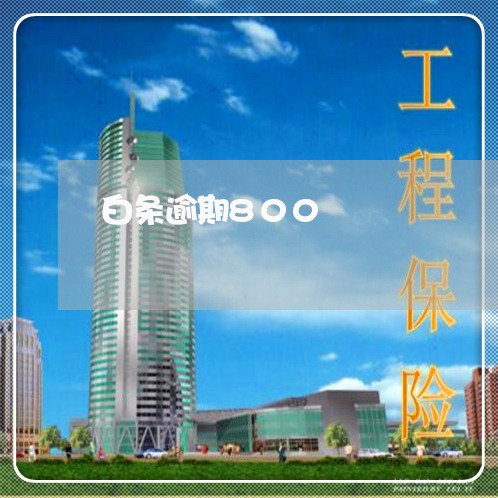 白条逾期800 白条逾期800