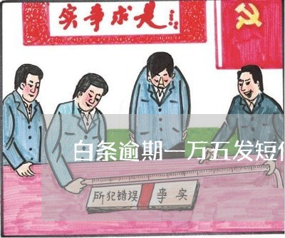 白条逾期一万五发短信协商解决 白条逾期一万五发短信协商解决