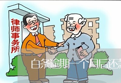 白条逾期一个月后还款了