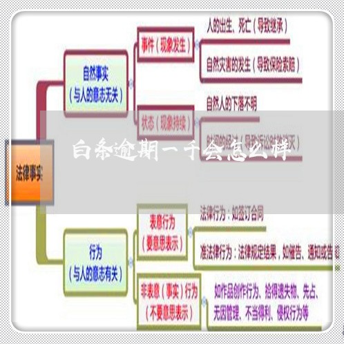白条逾期一千会怎么样 白条逾期一千会怎么样