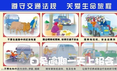 白条逾期一天上报会上征信吗