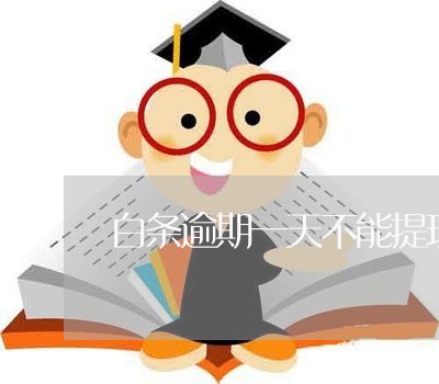 白条逾期一天不能提现 白条逾期一天不能提现