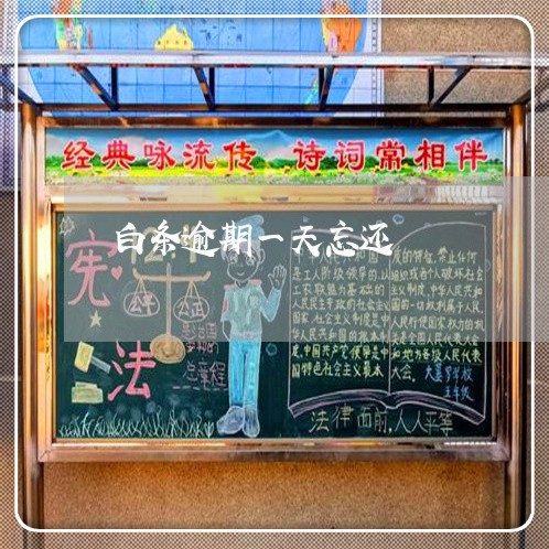 白条逾期一天忘还