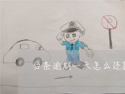 白条逾期一天怎么还款 白条逾期一天怎么还款