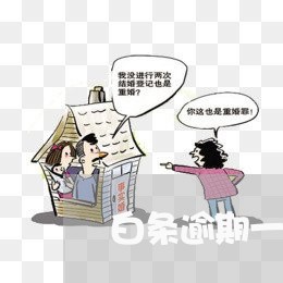 白条逾期一天碍事吗 白条逾期一天碍事吗
