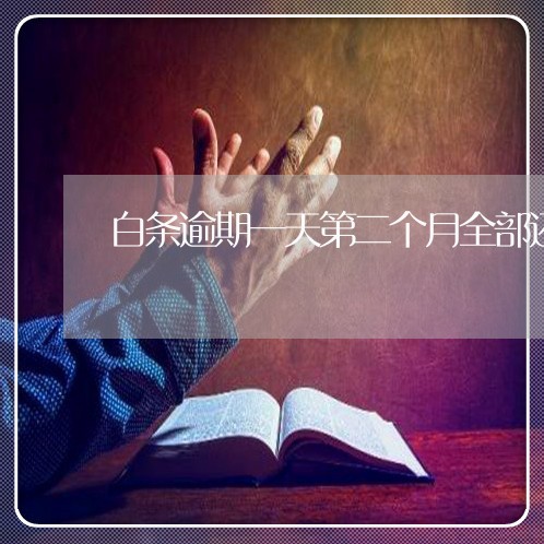 白条逾期一天第二个月全部还 白条逾期一天第二个月全部还