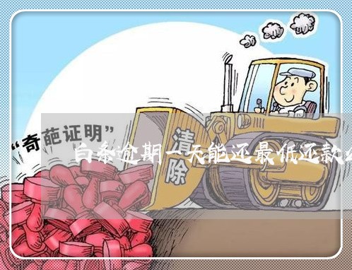 白条逾期一天能还最低还款么 白条逾期一天能还最低还款么