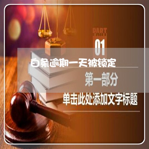 白条逾期一天被锁定 白条逾期一天被锁定