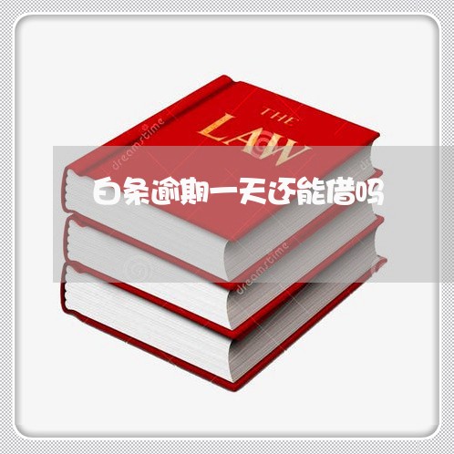 白条逾期一天还能借吗 白条逾期一天还能借吗