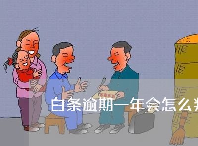 白条逾期一年会怎么判