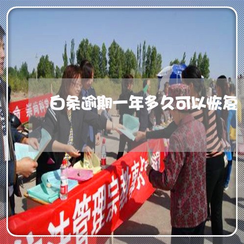 白条逾期一年多久可以恢复 白条逾期一年多久可以恢复