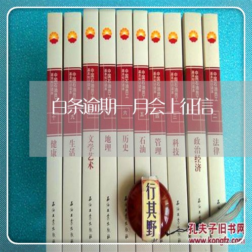 白条逾期一月会上征信 白条逾期一月会上征信