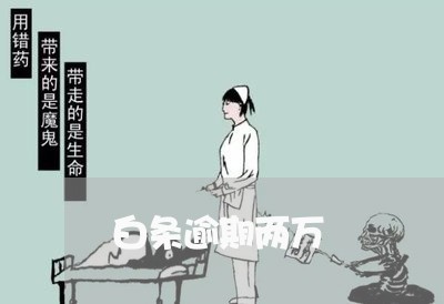 白条逾期两万