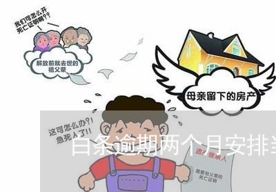 白条逾期两个月安排当地人上门