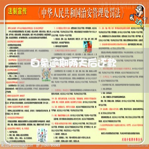 白条逾期两天后还款