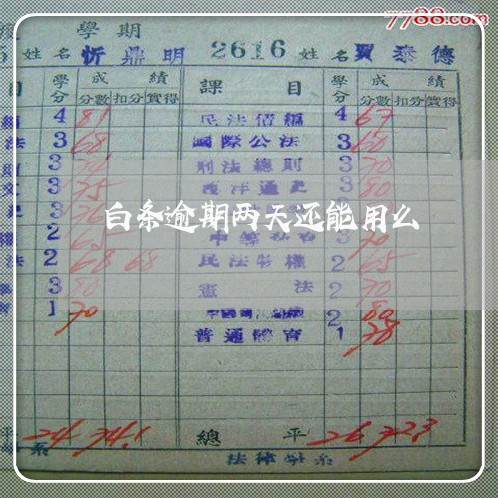 白条逾期两天还能用么 白条逾期两天还能用么