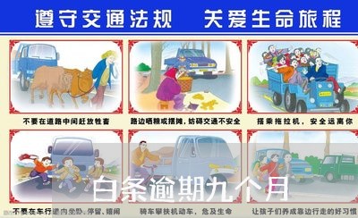 白条逾期九个月 白条逾期九个月