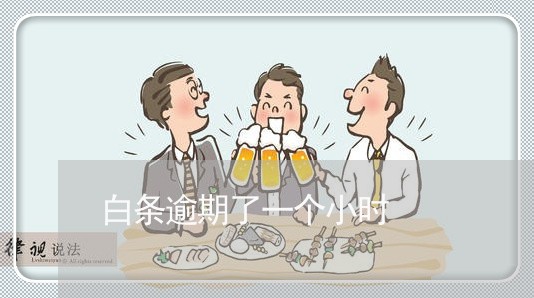 白条逾期了一个小时 白条逾期了一个小时