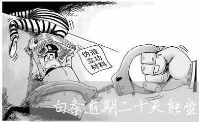 白条逾期二十天能坐飞机 白条逾期二十天能坐飞机