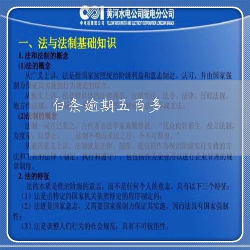 白条逾期五百多