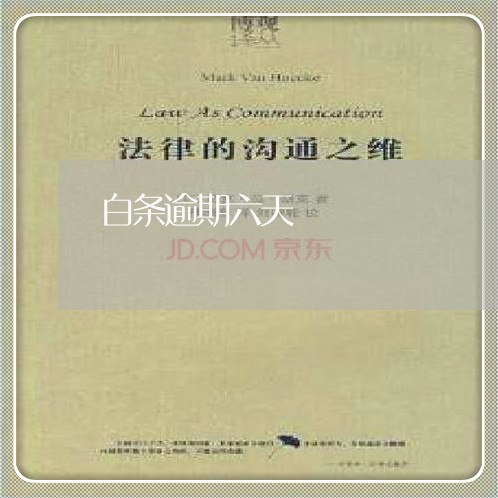 白条逾期六天