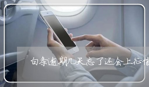 白条逾期几天忘了还会上征信