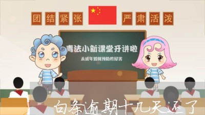 白条逾期十几天还了 白条逾期十几天还了