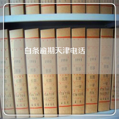 白条逾期天津电话 白条逾期天津电话