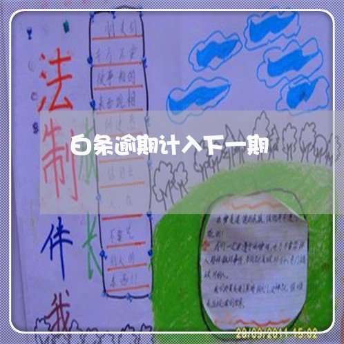 白条逾期计入下一期
