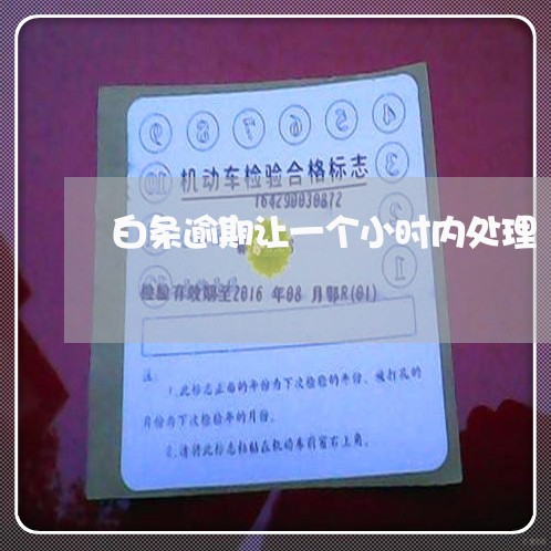 白条逾期让一个小时内处理 白条逾期让一个小时内处理