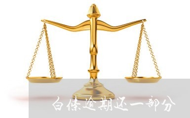 白条逾期还一部分 白条逾期还一部分