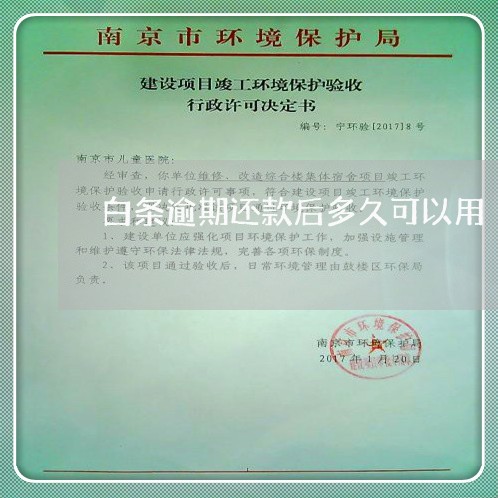 白条逾期还款后多久可以用