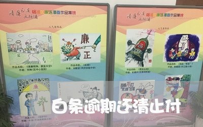 白条逾期还清止付 白条逾期还清止付