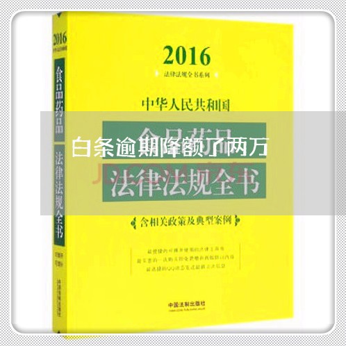 白条逾期降额了两万 白条逾期降额了两万
