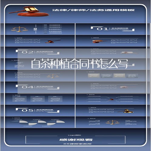 白茶种植合同书怎么写/2023022658684 白茶种植合同书怎么写/2023022658684
