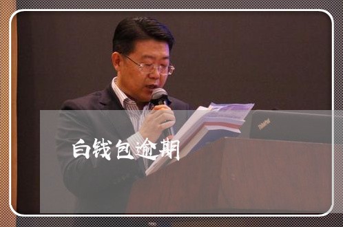白钱包逾期 白钱包逾期