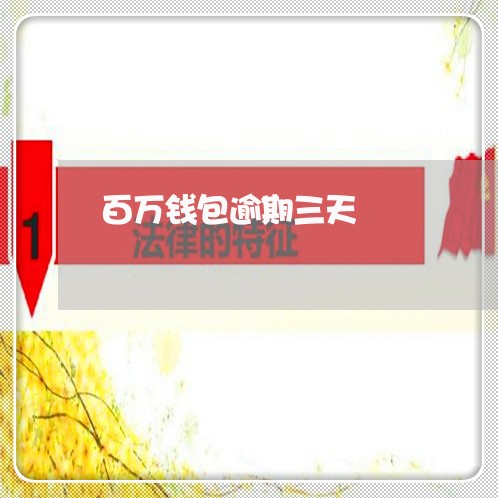 百万钱包逾期三天