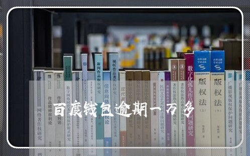 百度钱包逾期一万多