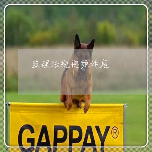 监理法规视频讲座 监理法规视频讲座