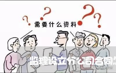 监理设立分公司合同怎么写/2023022714049