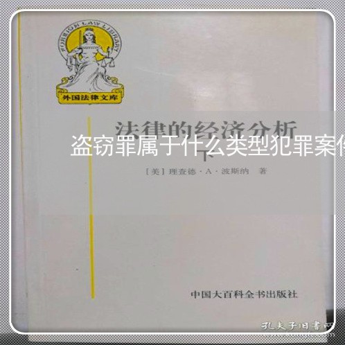 盗窃罪属于什么类型犯罪案件/2023061226849 盗窃罪属于什么类型犯罪案件/2023061226849
