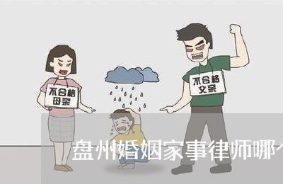 盘州婚姻家事律师哪个好