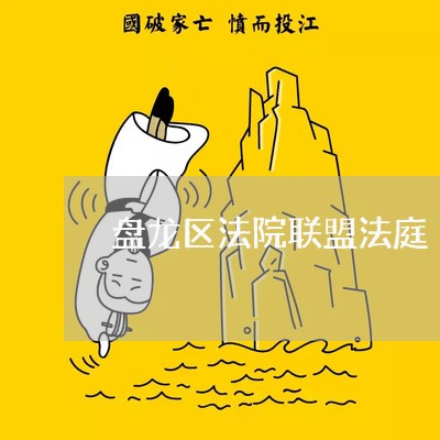盘龙区法院联盟法庭