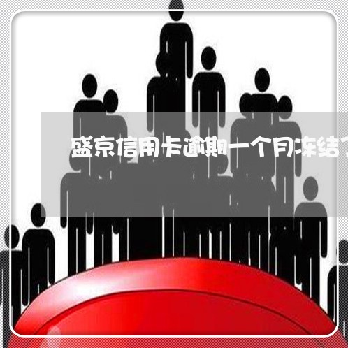 盛京信用卡逾期一个月冻结了吗/2023061661614