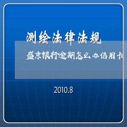 盛京银行逾期怎么办信用卡/2023060817381