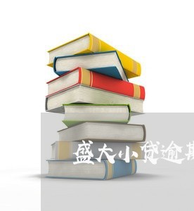 盛大小贷逾期是什么意思