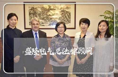 盛隆电气总法律顾问 盛隆电气总法律顾问